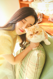 我想看沉香如屑